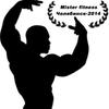 Logo_mr_fitnes_chel_2014_small