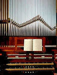 Organ